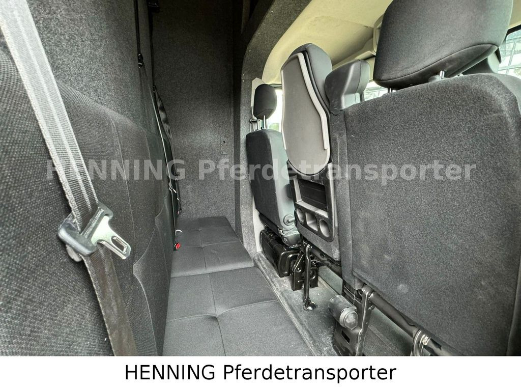 Коневоз Renault Master 5 -  Sitzer Automatik Renault Master 6 -  Sitzer Automatik: фото 17
