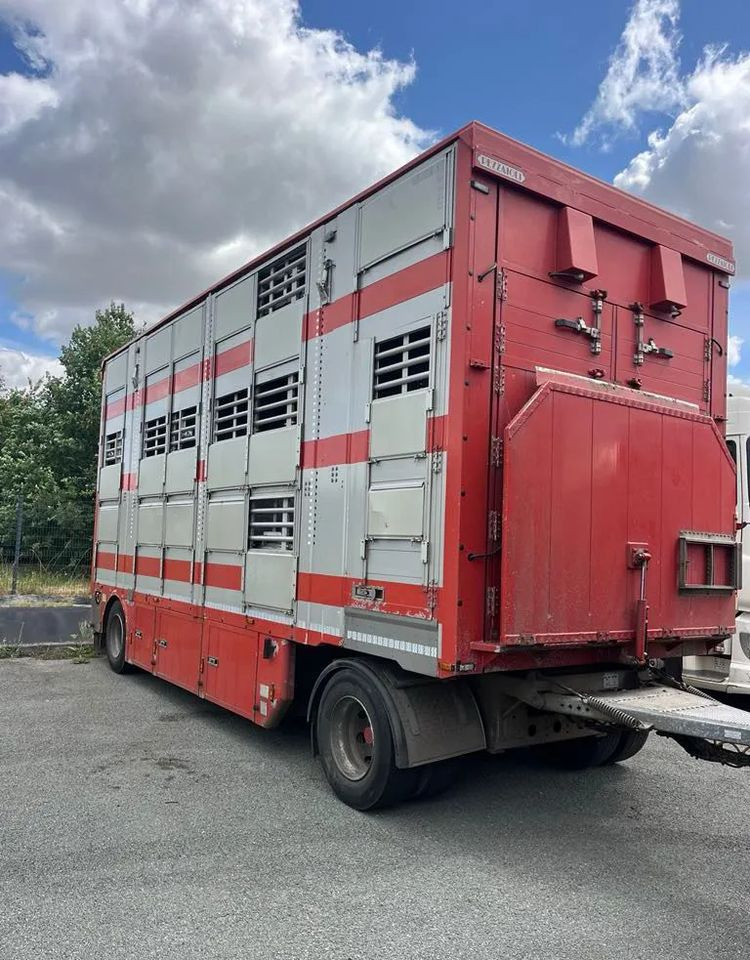 DAF XF 530 + Przyczepa Pezzaoli - 3X Trzoda, 2 X Bydło I 3 poziomy I Podnoszony dach I Hydroburta I Osie Skrętne I Poidła I Wentylatory I Pilot Manualny | - Грузовик для перевозки животных: фото 4 DAF XF 530 + Przyczepa Pezzaoli - 3X Trzoda, 2 X Bydło I 3 poziomy I Podnoszony dach I Hydroburta I Osie Skrętne I Poidła I Wentylatory I Pilot Manualny | - Грузовик для перевозки животных: фото 4