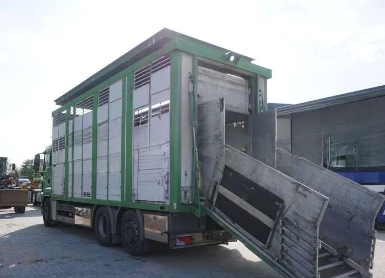 MAN TGS 26.440 ZABUDOWA KABA CAŁA ALUMINIOWA– samochód do transportu zwierząt/koni – 3 pokłady / EURO 5/6X2/PODNOSZONY DACH - Грузовик для перевозки животных: фото 4 MAN TGS 26.440 ZABUDOWA KABA CAŁA ALUMINIOWA– samochód do transportu zwierząt/koni – 3 pokłady / EURO 5/6X2/PODNOSZONY DACH - Грузовик для перевозки животных: фото 4