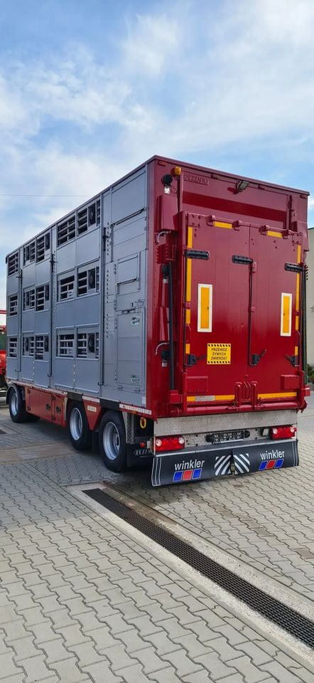 Pezzaioli RBA 32/TRZYOSIOWA PRZYCZEPA-2XBYDŁO,3X TRZODA - Прицеп для перевозки животных: фото 4 Pezzaioli RBA 32/TRZYOSIOWA PRZYCZEPA-2XBYDŁO,3X TRZODA - Прицеп для перевозки животных: фото 4