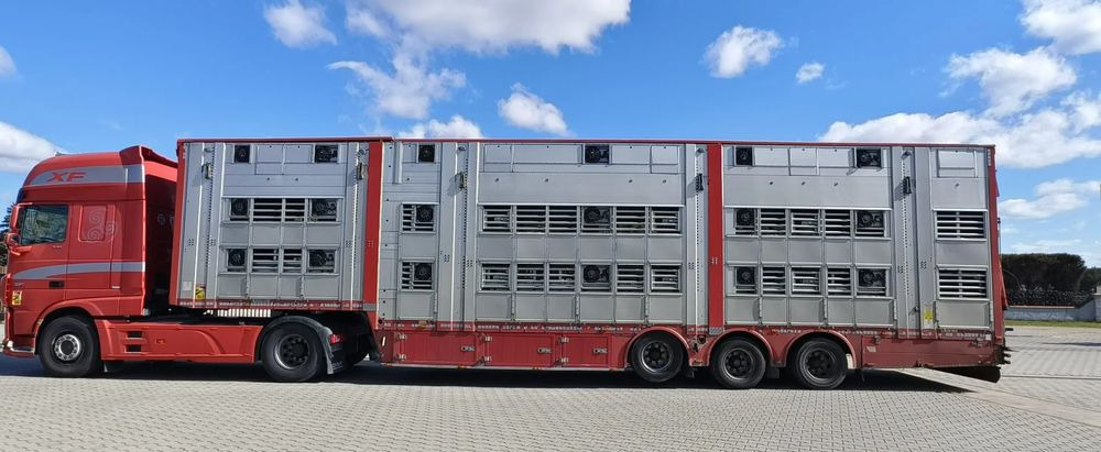 Pezzaioli SBA32/hydrauliczny dach/hydrauliczna rampa/ 3 poziomy/ 2xbydło -3xtrzoda/wentylatory/poidła/sterowanie pilotem - Полуприцеп для перевозки животных: фото 3 Pezzaioli SBA32/hydrauliczny dach/hydrauliczna rampa/ 3 poziomy/ 2xbydło -3xtrzoda/wentylatory/poidła/sterowanie pilotem - Полуприцеп для перевозки животных: фото 3