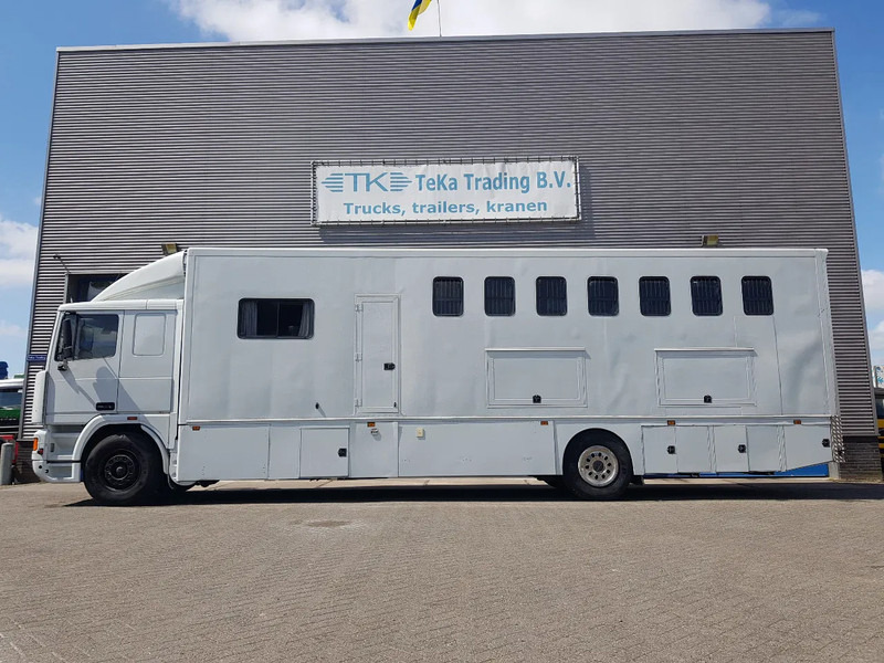 DAF 95.350 Paardenwagen met zitverblijf 7 paarden 7 horses - Коневоз: фото 3 DAF 95.350 Paardenwagen met zitverblijf 7 paarden 7 horses - Коневоз: фото 3