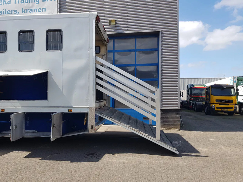 DAF 95.350 Paardenwagen met zitverblijf 7 paarden 7 horses - Коневоз: фото 5 DAF 95.350 Paardenwagen met zitverblijf 7 paarden 7 horses - Коневоз: фото 5