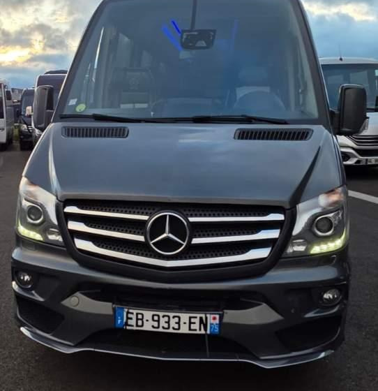 Mercedes-Benz SPRINTER 516 BLUETEC / SPROWADZONY / 86 000 KM - Микроавтобус, Пассажирский фургон: фото 2 Mercedes-Benz SPRINTER 516 BLUETEC / SPROWADZONY / 86 000 KM - Микроавтобус, Пассажирский фургон: фото 2