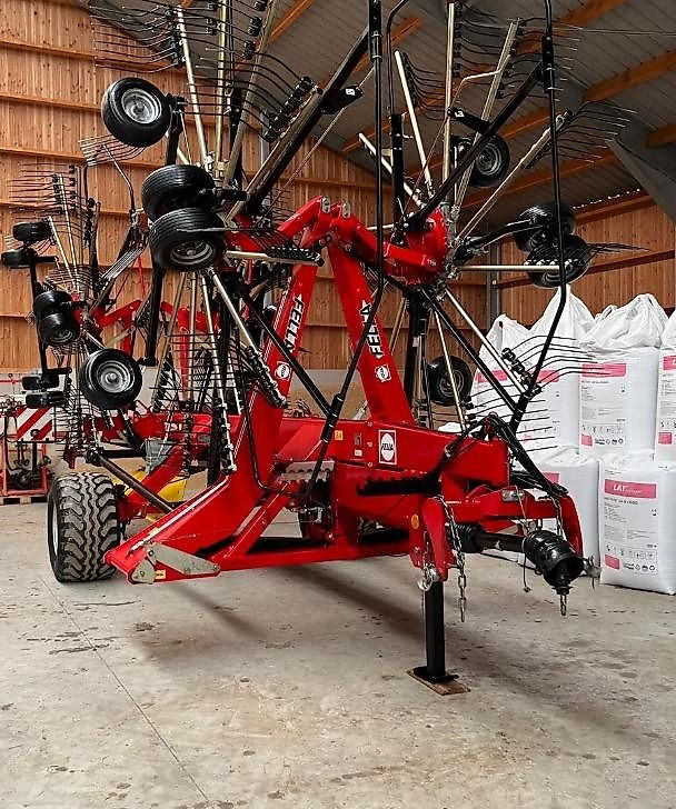 J.Reiff Sarl
Herr Stefan Neukirch - 77 Z.I in den - Сеноворошилка: фото 1 J.Reiff Sarl
Herr Stefan Neukirch - 77 Z.I in den - Сеноворошилка: фото 1