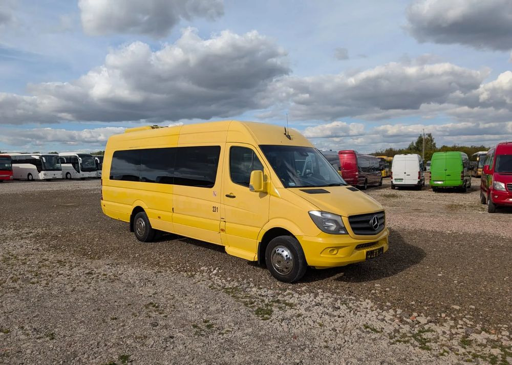 Mercedes-Benz Sprinter 519 - Микроавтобус, Пассажирский фургон: фото 2 Mercedes-Benz Sprinter 519 - Микроавтобус, Пассажирский фургон: фото 2