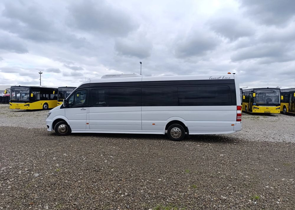 Микроавтобус, Пассажирский фургон Mercedes-Benz Sprinter 519: фото 10