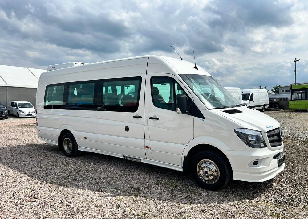 Mercedes-Benz Sprinter 519 - Микроавтобус, Пассажирский фургон: фото 3 Mercedes-Benz Sprinter 519 - Микроавтобус, Пассажирский фургон: фото 3