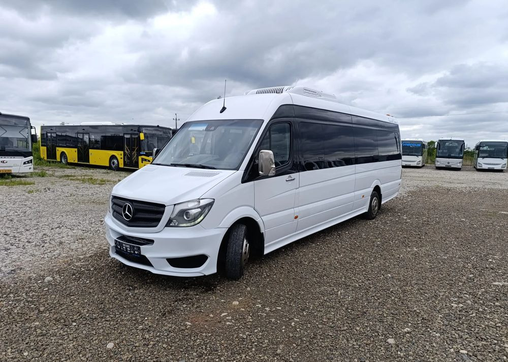 Микроавтобус, Пассажирский фургон Mercedes-Benz Sprinter 519: фото 12