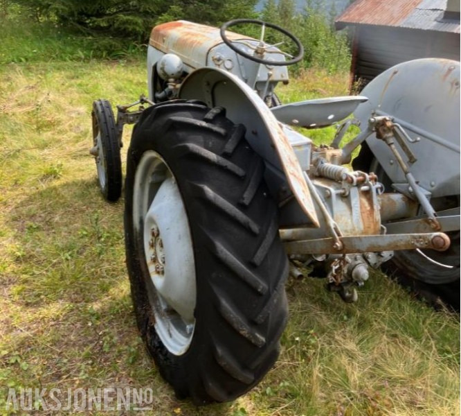1950 Massey Ferguson Gråtass в лизинг 1950 Massey Ferguson Gråtass: фото 6