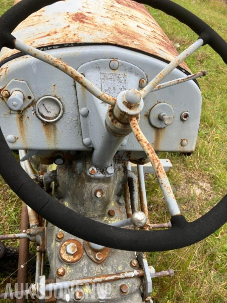 1950 Massey Ferguson Gråtass в лизинг 1950 Massey Ferguson Gråtass: фото 12