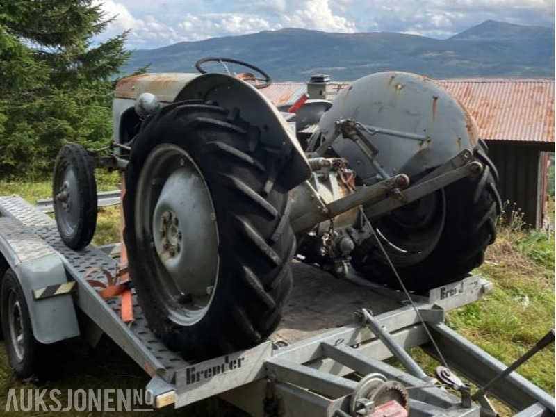 1950 Massey Ferguson Gråtass в лизинг 1950 Massey Ferguson Gråtass: фото 7