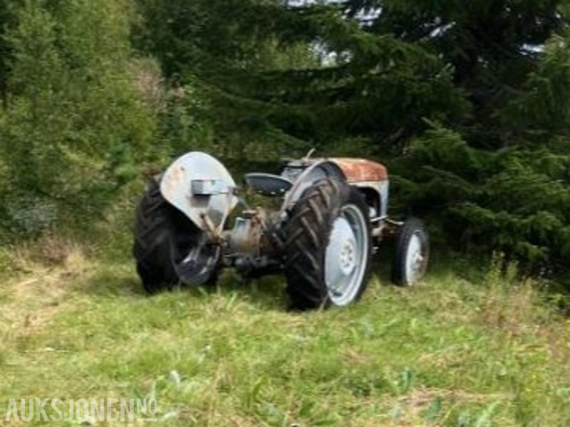 1950 Massey Ferguson Gråtass в лизинг 1950 Massey Ferguson Gråtass: фото 8