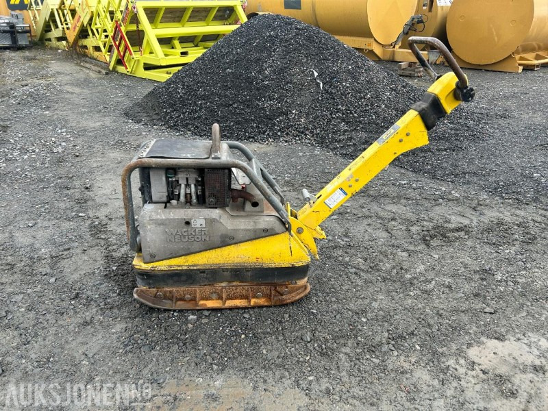 2018 Wacker Neuson Dpu 5545 vibrplate - Каток: фото 1 2018 Wacker Neuson Dpu 5545 vibrplate - Каток: фото 1