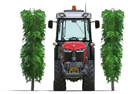 Massey Ferguson MF 3VI105 Efficient - Трактор: фото 1 Massey Ferguson MF 3VI105 Efficient - Трактор: фото 1