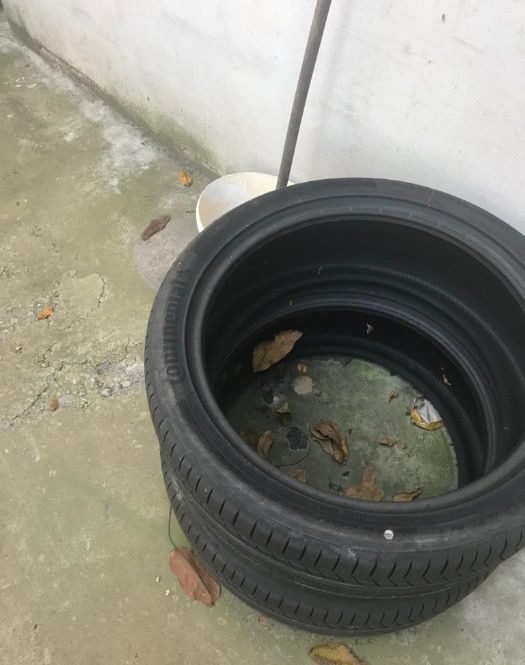 Anvelope Continental NOI ContisportContact 255 / 40 ZR 21 - Шина для Легковых автомобилей: фото 1 Anvelope Continental NOI ContisportContact 255 / 40 ZR 21 - Шина для Легковых автомобилей: фото 1