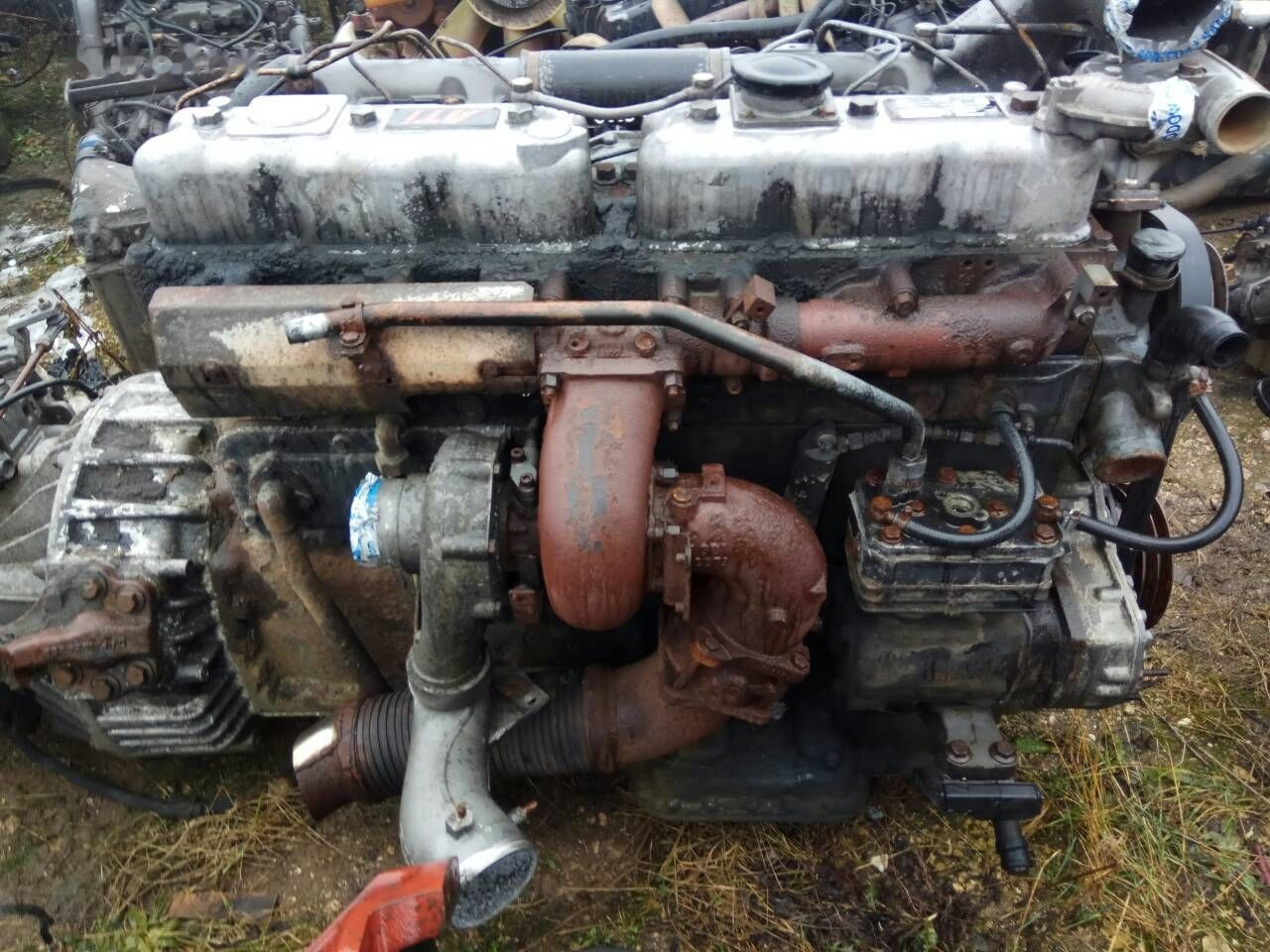 DAF ATI WS 268 L DAF 85, 95 - Двигатель для Грузовиков: фото 2 DAF ATI WS 268 L DAF 85, 95 - Двигатель для Грузовиков: фото 2