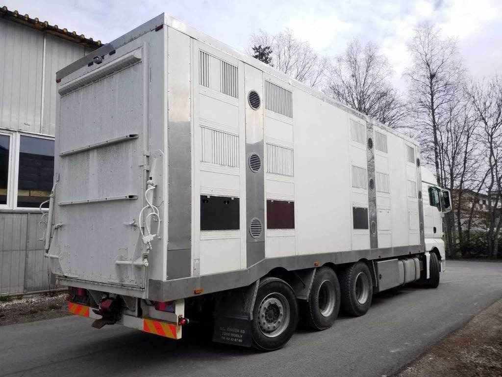MAN TGX 35.540 8X4 TRIDEM ANIMAL  - Грузовик для перевозки животных: фото 3 MAN TGX 35.540 8X4 TRIDEM ANIMAL  - Грузовик для перевозки животных: фото 3