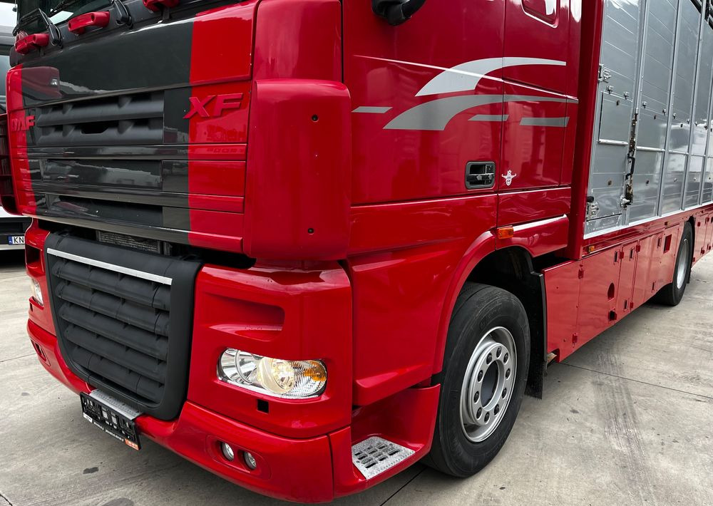 DAF XF 105.460 Euro 5 // Manual // Retarder // Do Żywca / Bydła / Zwierząt / - Грузовик для перевозки животных: фото 4 DAF XF 105.460 Euro 5 // Manual // Retarder // Do Żywca / Bydła / Zwierząt / - Грузовик для перевозки животных: фото 4
