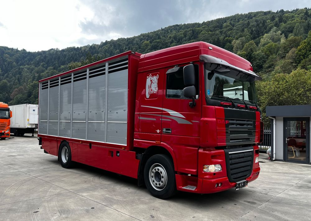DAF XF 105.460 Euro 5 // Manual // Retarder // Do Żywca / Bydła / Zwierząt / - Грузовик для перевозки животных: фото 2 DAF XF 105.460 Euro 5 // Manual // Retarder // Do Żywca / Bydła / Zwierząt / - Грузовик для перевозки животных: фото 2