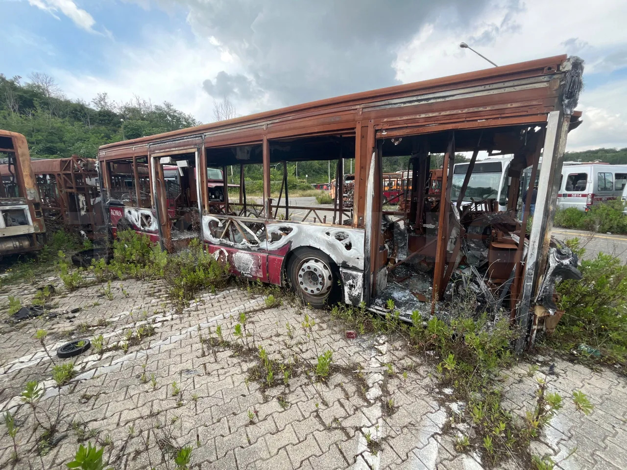 Bundle di 7 mezzi Iveco - Citelis Iveco - Citelis Iveco - Citelis Iveco - Citelis Iveco - Citelis Iveco - Citelis Iveco - Citelis - Городской автобус: фото 3 Bundle di 7 mezzi Iveco - Citelis Iveco - Citelis Iveco - Citelis Iveco - Citelis Iveco - Citelis Iveco - Citelis Iveco - Citelis - Городской автобус: фото 3