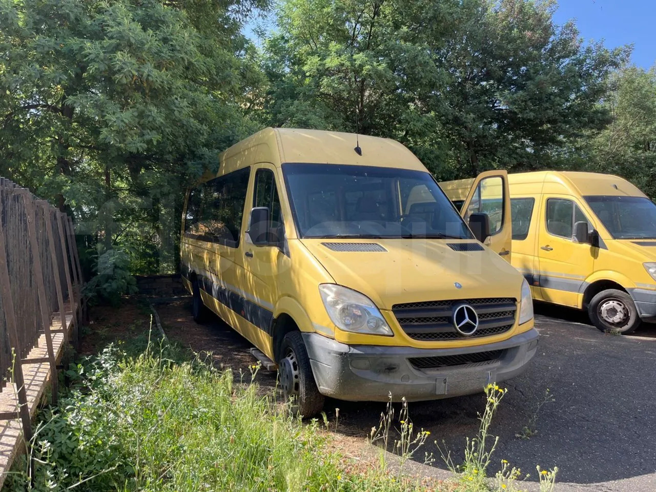 Mercedes-Benz Sprinter - Школьный автобус: фото 1 Mercedes-Benz Sprinter - Школьный автобус: фото 1