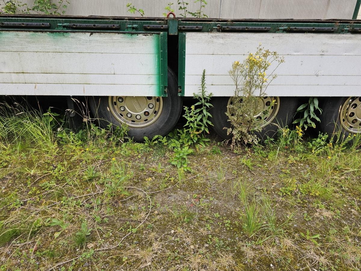 SCHMIDT-Hagen SPC/38/E/13,6 - Сельскохозяйственный прицеп: фото 5 SCHMIDT-Hagen SPC/38/E/13,6 - Сельскохозяйственный прицеп: фото 5