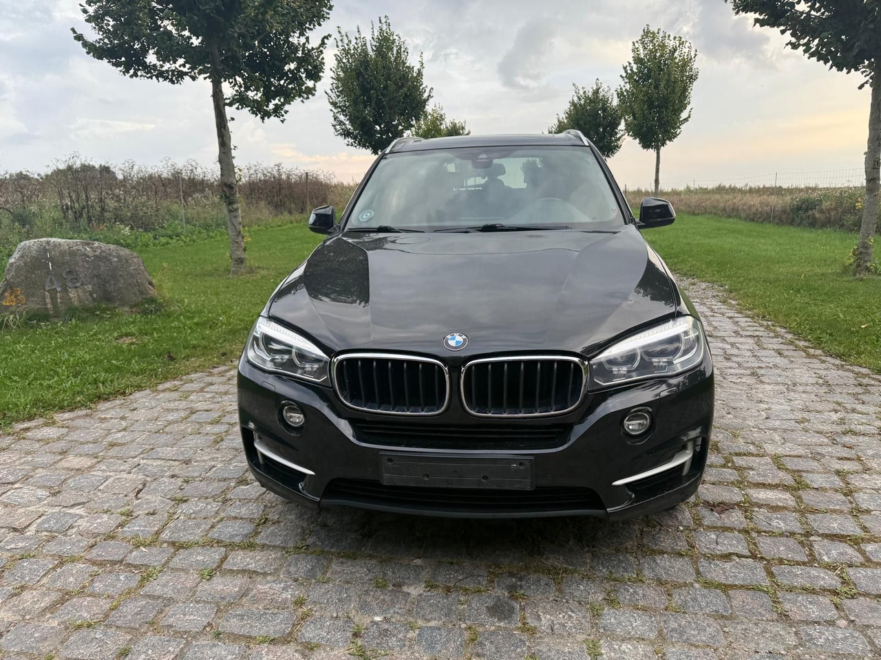 BMW X5 Baureihe X5 xDrive 30 d *21 000€ netto - Внедорожник: фото 5 BMW X5 Baureihe X5 xDrive 30 d *21 000€ netto - Внедорожник: фото 5