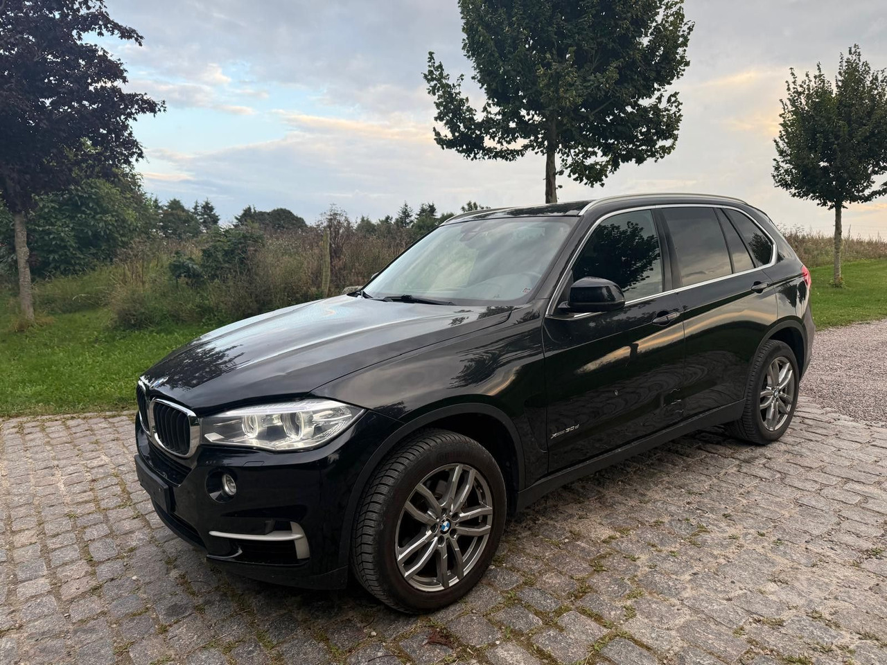 BMW X5 Baureihe X5 xDrive 30 d *21 000€ netto - Внедорожник: фото 4 BMW X5 Baureihe X5 xDrive 30 d *21 000€ netto - Внедорожник: фото 4