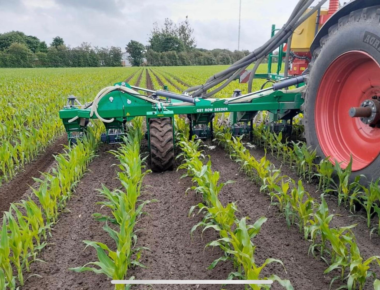 GST ROW SEEDER 12 - Сеялка: фото 2 GST ROW SEEDER 12 - Сеялка: фото 2