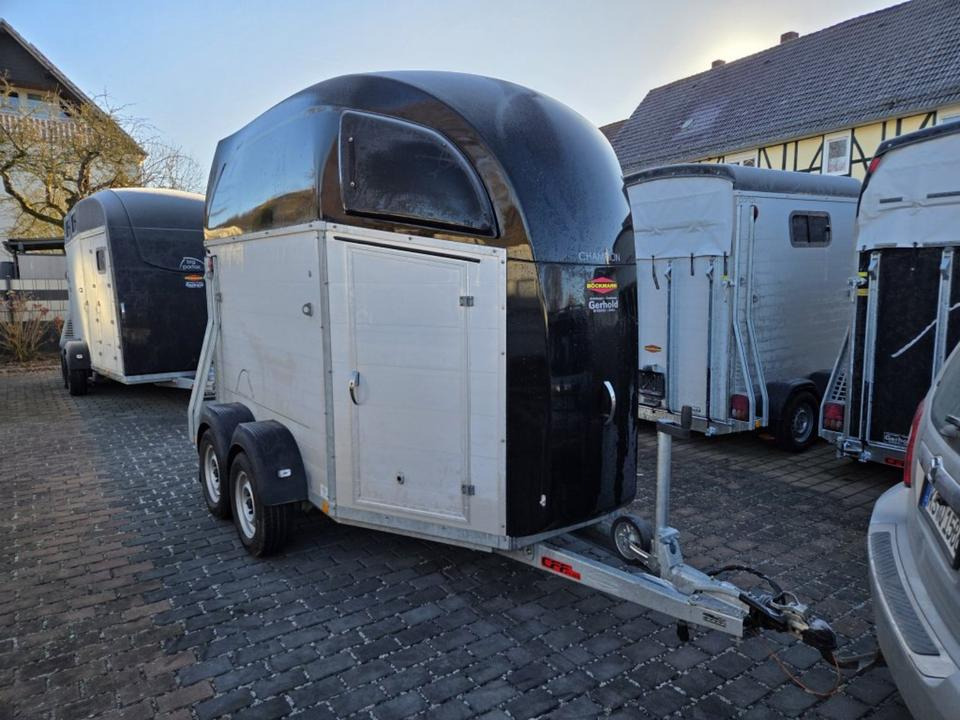 Böckmann, Pferdeanhänger, Champion R, top, SaKa. 100 km/h - Прицеп-коневоз: фото 5 Böckmann, Pferdeanhänger, Champion R, top, SaKa. 100 km/h - Прицеп-коневоз: фото 5