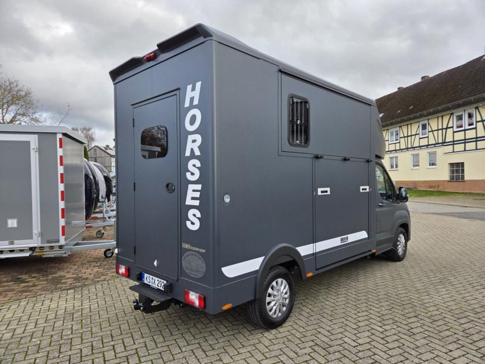 Коневоз MSG Stablehopper Pferdetransporter Pferdeanhänger Böckmann: фото 6