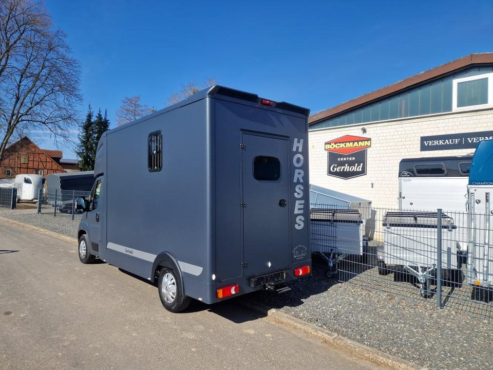 MSG Stablehopper Pferdetransporter Pferdeanhänger Böckmann - Коневоз: фото 4 MSG Stablehopper Pferdetransporter Pferdeanhänger Böckmann - Коневоз: фото 4