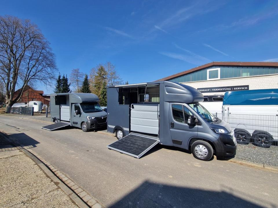 MSG Stablehopper Pferdetransporter Pferdeanhänger Böckmann - Коневоз: фото 1 MSG Stablehopper Pferdetransporter Pferdeanhänger Böckmann - Коневоз: фото 1