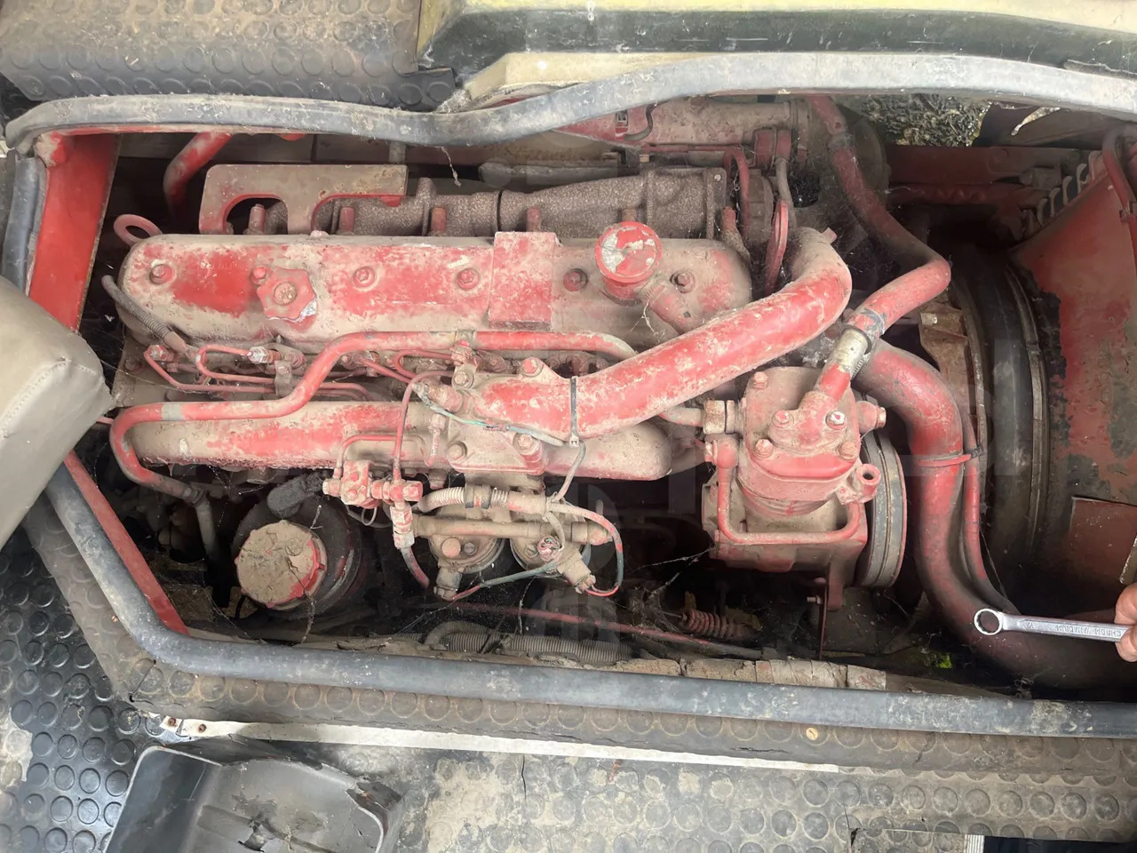 Bundle di 4 mezzi Iveco - Cacciamali Fiat - Coriasco Iveco - Cacciamali Iveco - Cacciamali - Школьный автобус: фото 2 Bundle di 4 mezzi Iveco - Cacciamali Fiat - Coriasco Iveco - Cacciamali Iveco - Cacciamali - Школьный автобус: фото 2