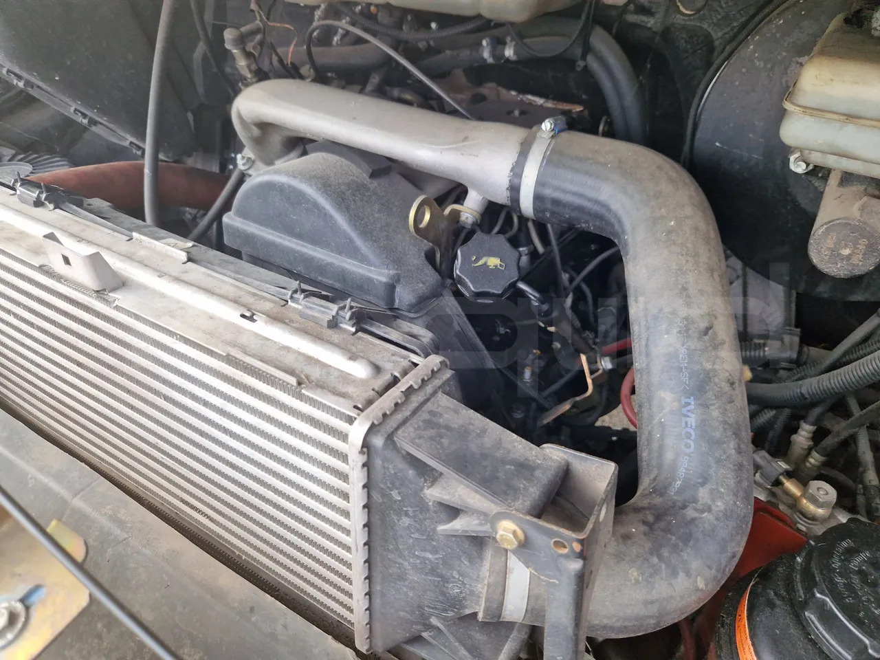 Школьный автобус Iveco Cacciamali: фото 20 Школьный автобус Iveco Cacciamali: фото 20