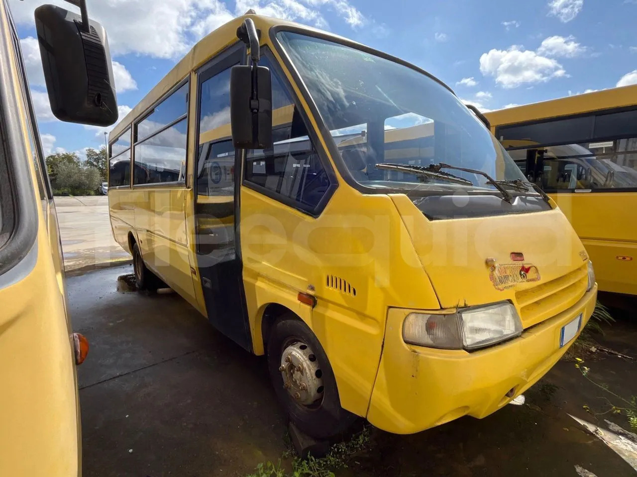 Iveco Cacciamali - Школьный автобус: фото 2 Iveco Cacciamali - Школьный автобус: фото 2