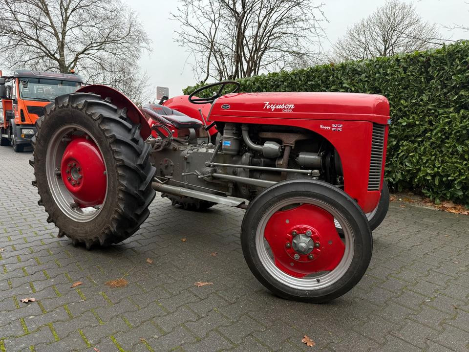 Oldtimer Massey Ferguson TEF Diesel - Трактор: фото 1 Oldtimer Massey Ferguson TEF Diesel - Трактор: фото 1