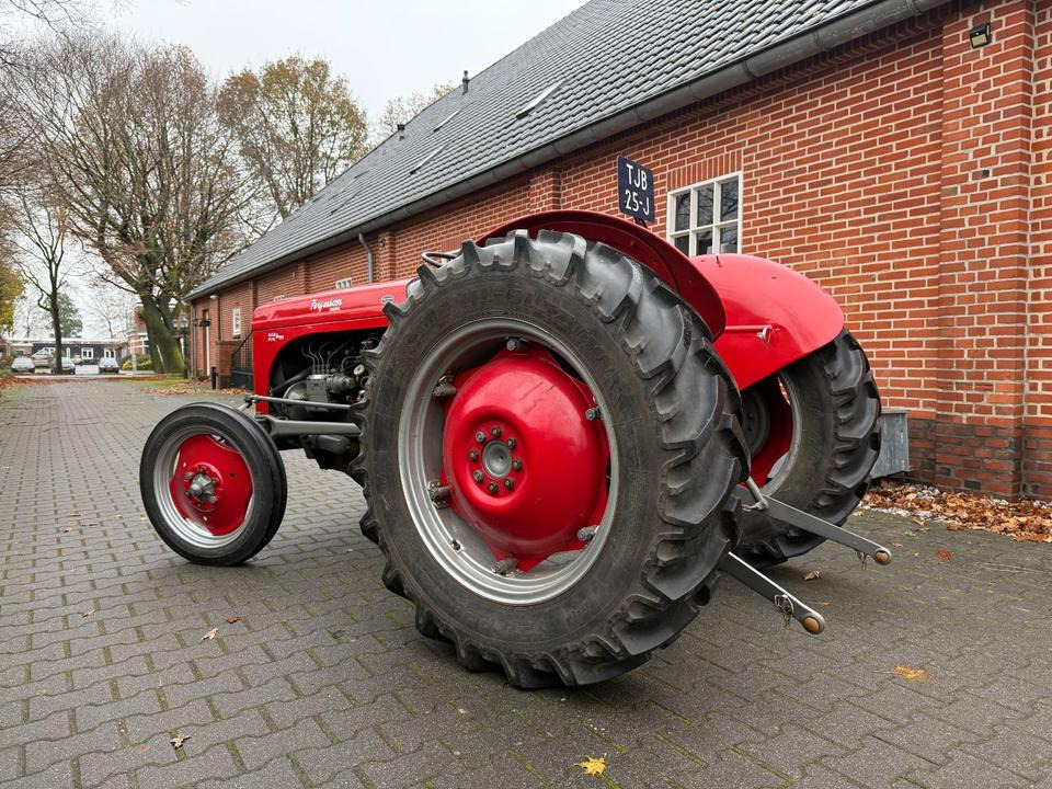 Oldtimer Massey Ferguson TEF Diesel - Трактор: фото 4 Oldtimer Massey Ferguson TEF Diesel - Трактор: фото 4