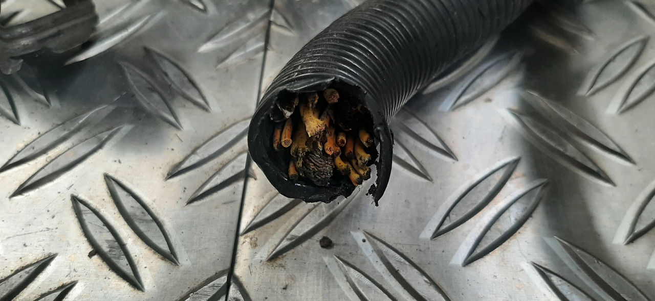 Gebrauchter MAN TGL 8.220 Motor - Kabelbaum / Kabelstrang , Artikel - Nr. : 81.25453 - 6457 - Кабели/ Провода для Грузовиков: фото 4 Gebrauchter MAN TGL 8.220 Motor - Kabelbaum / Kabelstrang , Artikel - Nr. : 81.25453 - 6457 - Кабели/ Провода для Грузовиков: фото 4