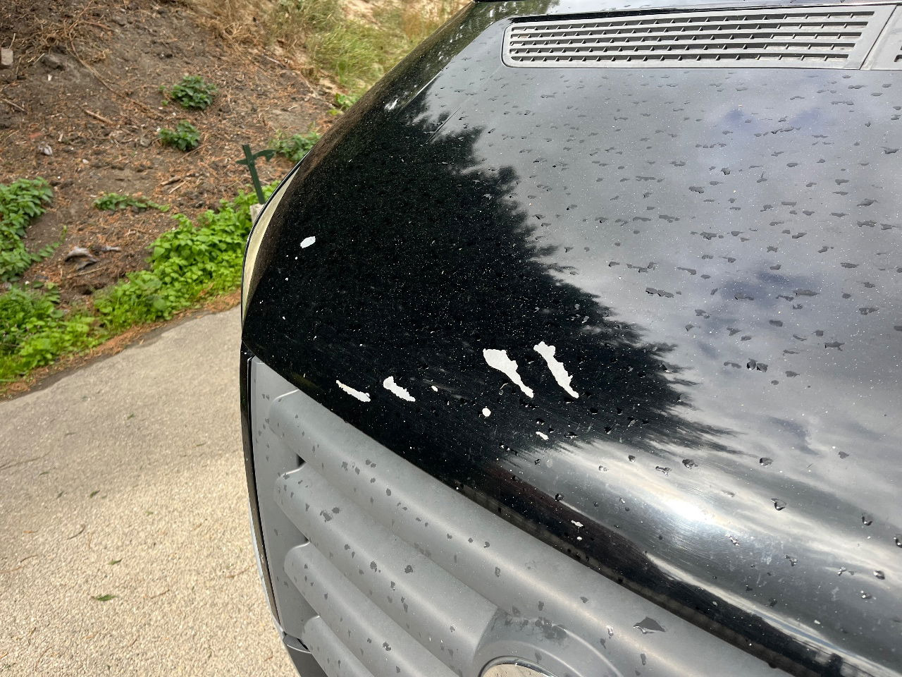 Volkswagen Crafter - Цельнометаллический фургон: фото 5 Volkswagen Crafter - Цельнометаллический фургон: фото 5