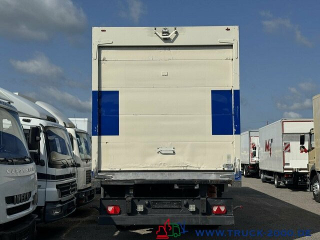 Schmitz Cargobull Schmitz Thermo King SLX Spectrum Tiefkühler -20° - Полуприцеп-рефрижератор: фото 3 Schmitz Cargobull Schmitz Thermo King SLX Spectrum Tiefkühler -20° - Полуприцеп-рефрижератор: фото 3