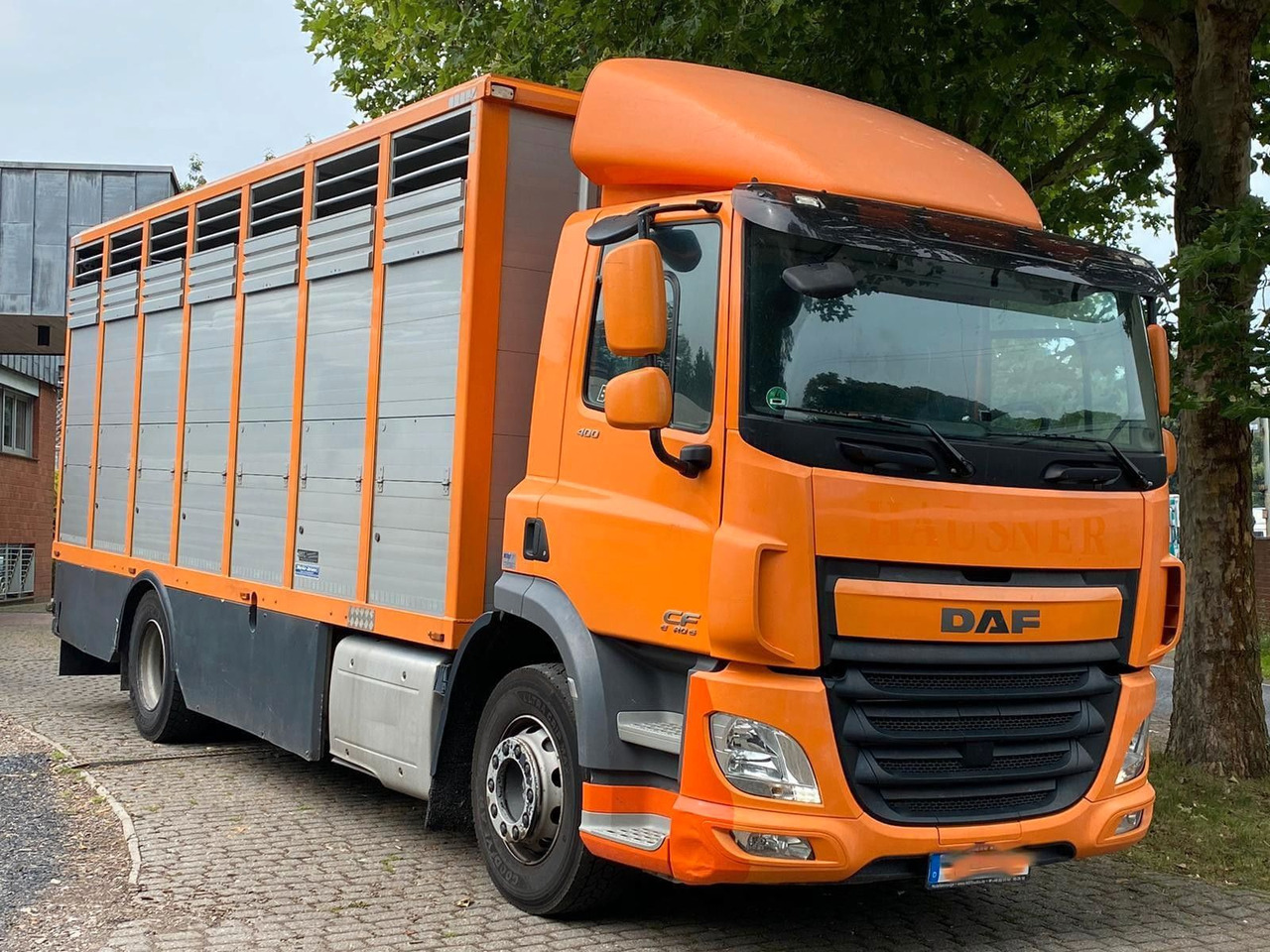 DAF CF 400 Menke Einstock - Коневоз: фото 3 DAF CF 400 Menke Einstock - Коневоз: фото 3