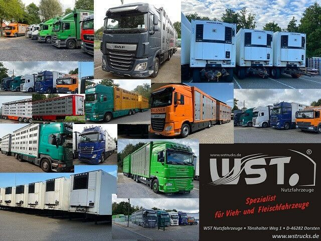 Фургон Mercedes-Benz Sprinter II Kasten 216 CDI Hoch/Lang: фото 12