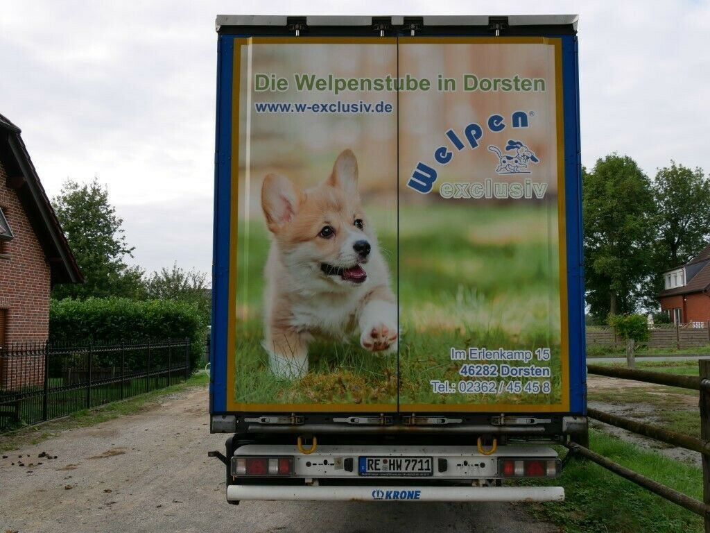 Krone SDP27 Profiliner Edscher XL Top Krone SDP27 Profiliner Edscher XL Top - Тентованный полуприцеп: фото 3 Krone SDP27 Profiliner Edscher XL Top Krone SDP27 Profiliner Edscher XL Top - Тентованный полуприцеп: фото 3