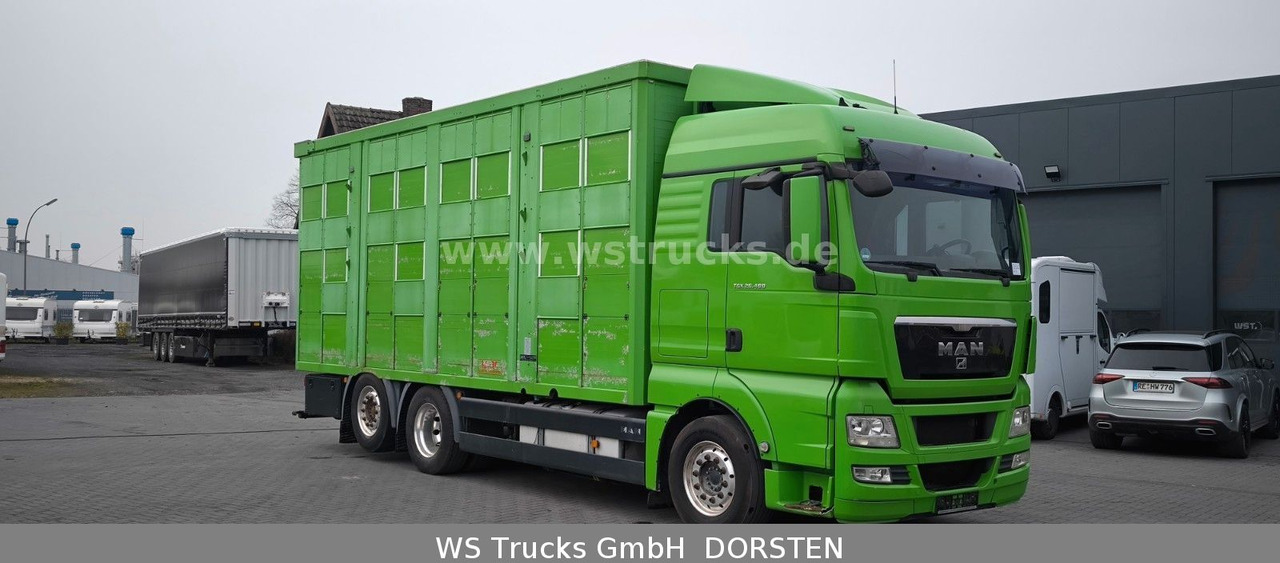 MAN TGX 26.480 XL KABA 3 Stock Vollalu - Коневоз: фото 3 MAN TGX 26.480 XL KABA 3 Stock Vollalu - Коневоз: фото 3
