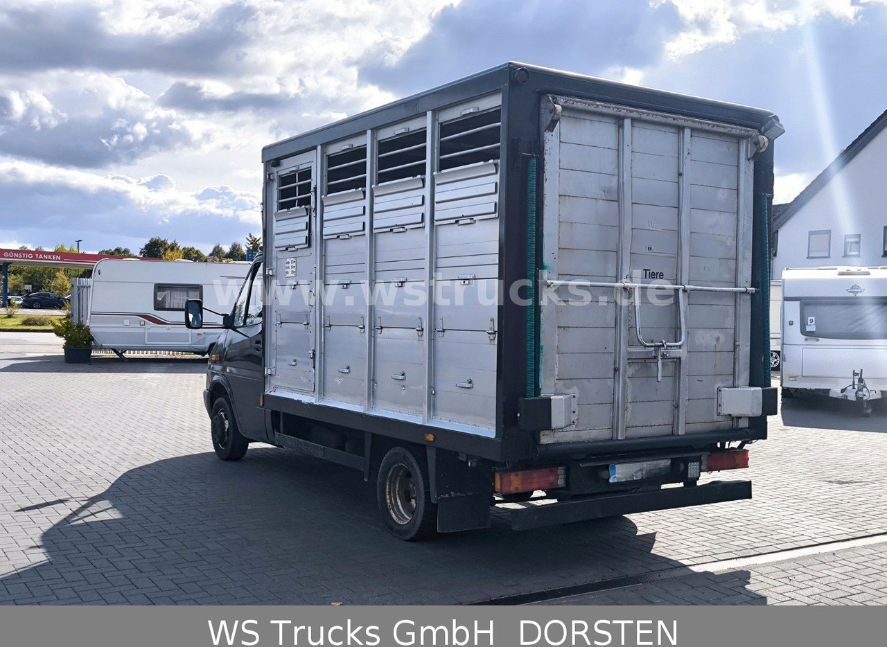 Mercedes-Benz Sprinter 411 CDI Viehtransporter - Грузовик для перевозки животных: фото 4 Mercedes-Benz Sprinter 411 CDI Viehtransporter - Грузовик для перевозки животных: фото 4