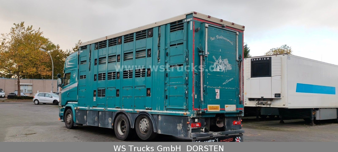 Scania R 490 Topline Menke 4 Stock Hubdach | Retader - Коневоз: фото 4 Scania R 490 Topline Menke 4 Stock Hubdach | Retader - Коневоз: фото 4