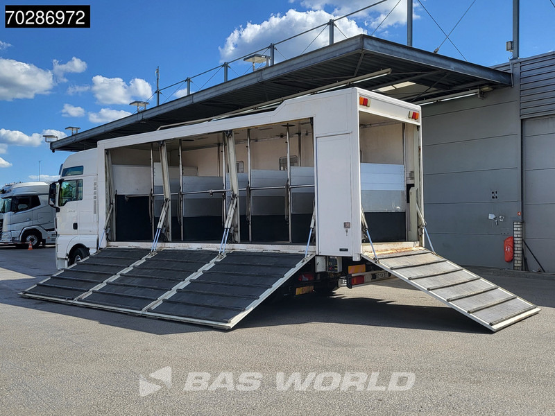 MAN TGX 26.480 TGX 6X2 NL-Truck BDF HorseTransport Lift+steering axle Standklima Automatic Xenon Alcoa´s Euro 5 - Грузовик-контейнеровоз/ Сменный кузов: фото 2 MAN TGX 26.480 TGX 6X2 NL-Truck BDF HorseTransport Lift+steering axle Standklima Automatic Xenon Alcoa´s Euro 5 - Грузовик-контейнеровоз/ Сменный кузов: фото 2