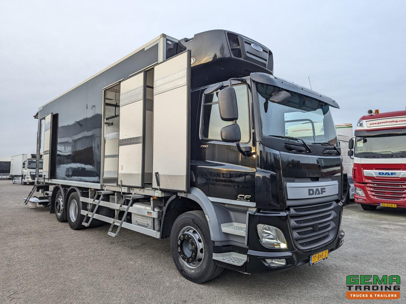 DAF CF 280 FAN 6x2/4 DagCab Euro6 - Koel-VriesBak 7.9m + Carrier Supra 1150MT + Laadklep 2000kg - 10/2025APK - Рефрижератор: фото 2 DAF CF 280 FAN 6x2/4 DagCab Euro6 - Koel-VriesBak 7.9m + Carrier Supra 1150MT + Laadklep 2000kg - 10/2025APK - Рефрижератор: фото 2